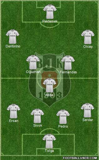 Besiktas JK Formation 2013