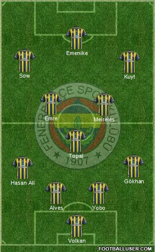 Fenerbahçe SK Formation 2013