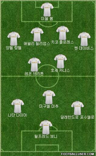 Swansea City Formation 2013