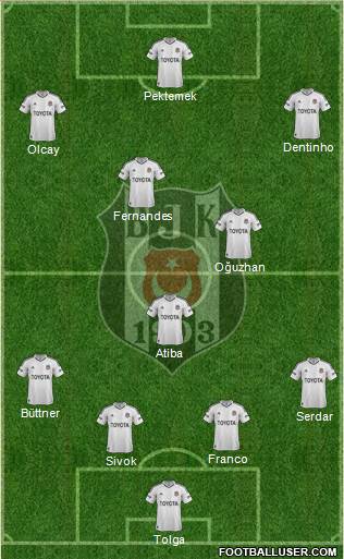 Besiktas JK Formation 2013