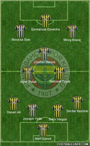 Fenerbahçe SK Formation 2013