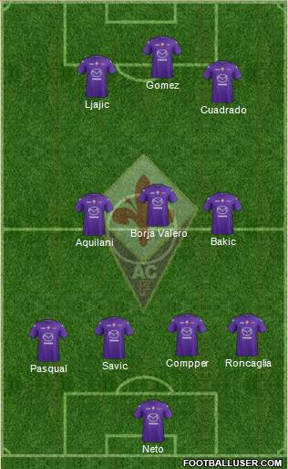Fiorentina Formation 2013
