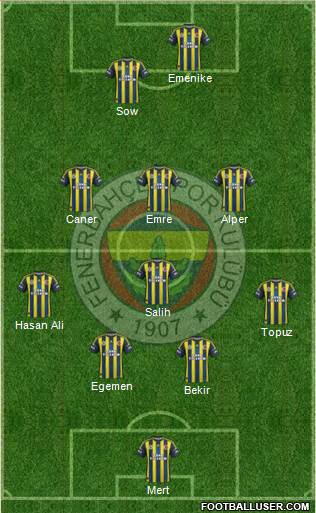 Fenerbahçe SK Formation 2013