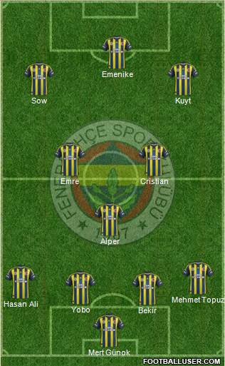 Fenerbahçe SK Formation 2013