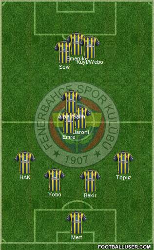 Fenerbahçe SK Formation 2013