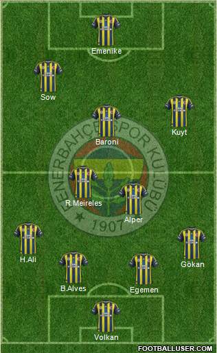 Fenerbahçe SK Formation 2013