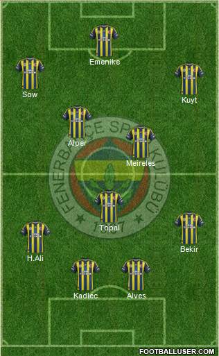 Fenerbahçe SK Formation 2013