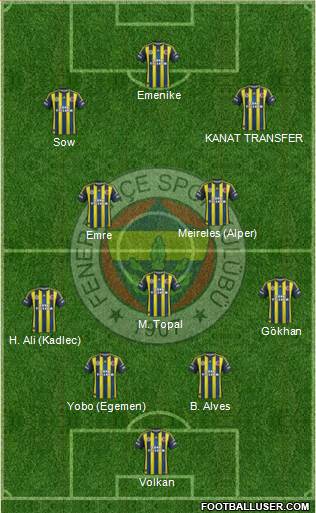 Fenerbahçe SK Formation 2013