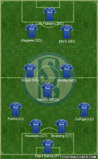 FC Schalke 04 Formation 2013