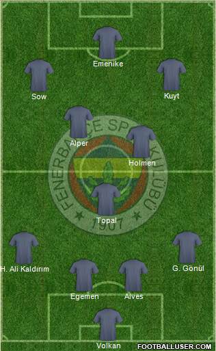 Fenerbahçe SK Formation 2013
