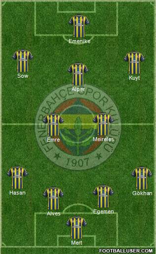 Fenerbahçe SK Formation 2013