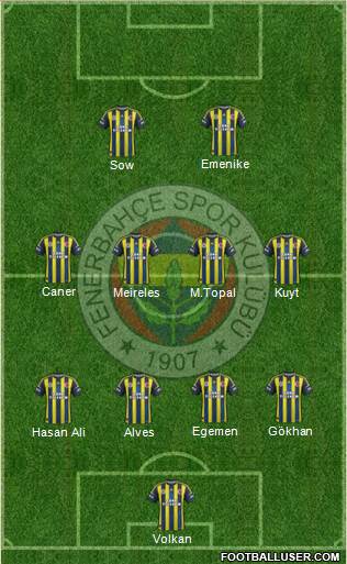 Fenerbahçe SK Formation 2013