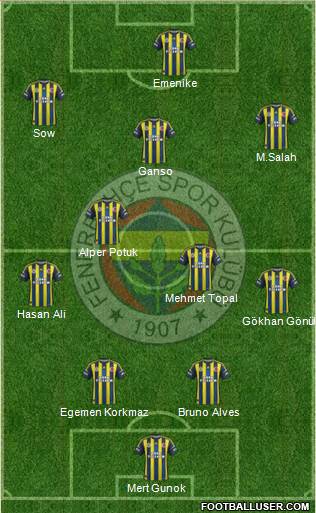 Fenerbahçe SK Formation 2013