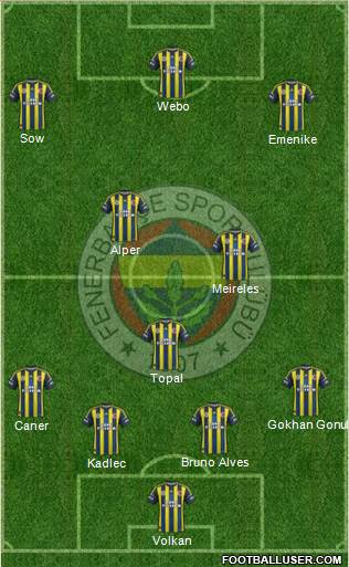 Fenerbahçe SK Formation 2013