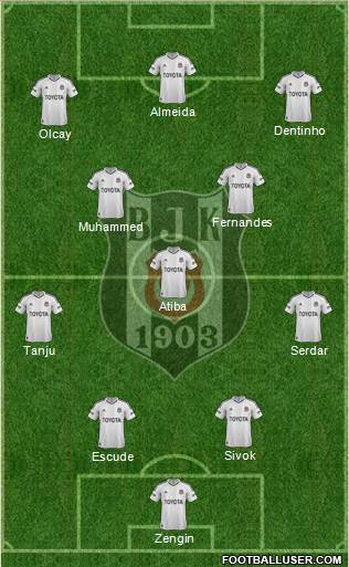 Besiktas JK Formation 2013