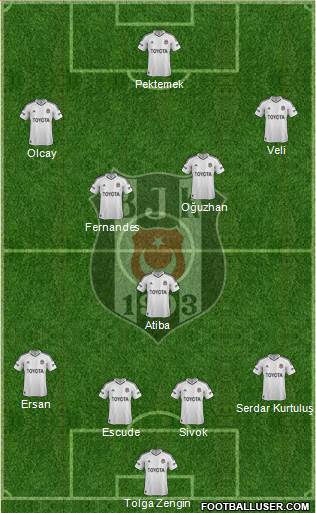 Besiktas JK Formation 2013