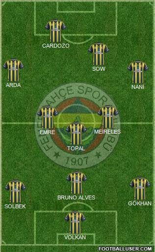 Fenerbahçe SK Formation 2013