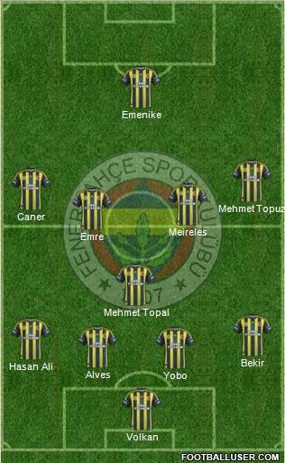 Fenerbahçe SK Formation 2013
