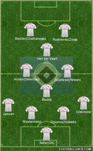 Hamburger SV Formation 2013