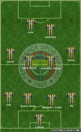 Fenerbahçe SK Formation 2013