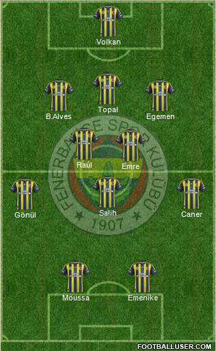 Fenerbahçe SK Formation 2013