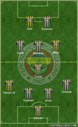 Fenerbahçe SK Formation 2013