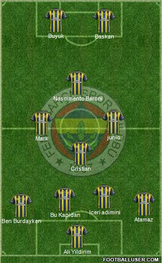 Fenerbahçe SK Formation 2013
