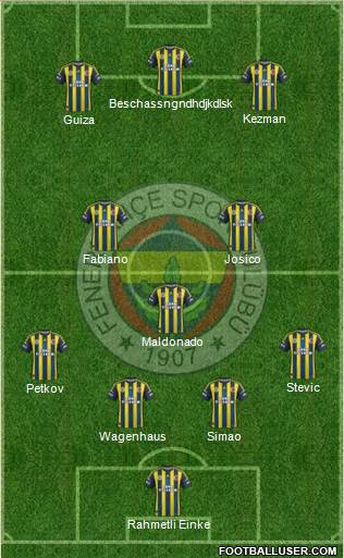 Fenerbahçe SK Formation 2013