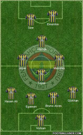 Fenerbahçe SK Formation 2013