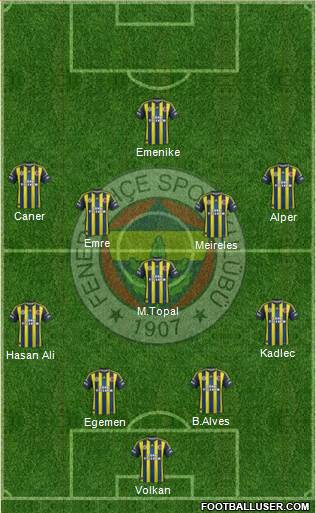 Fenerbahçe SK Formation 2013