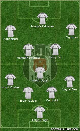 Besiktas JK Formation 2013