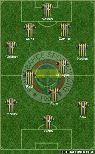 Fenerbahçe SK Formation 2013
