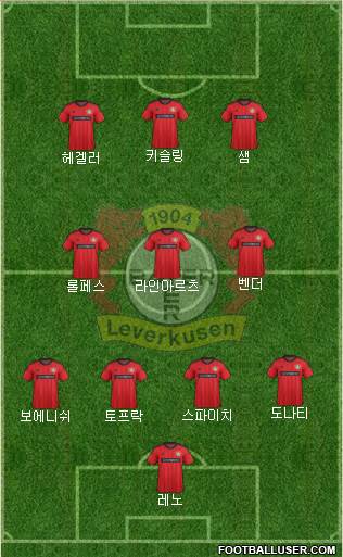 Bayer 04 Leverkusen Formation 2013