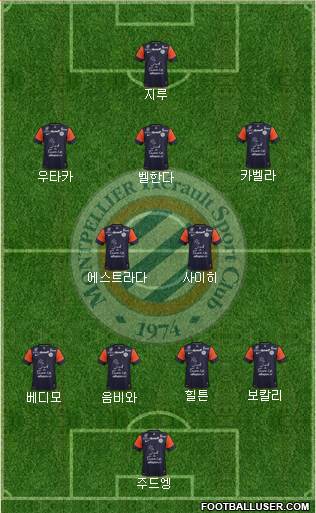Montpellier Hérault Sport Club Formation 2013