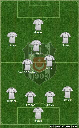 Besiktas JK Formation 2013
