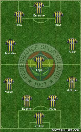Fenerbahçe SK Formation 2013