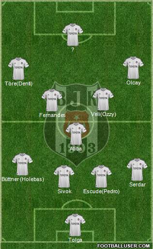Besiktas JK Formation 2013