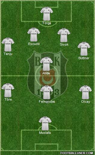 Besiktas JK Formation 2013