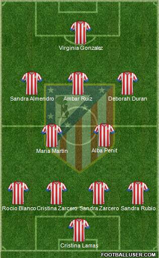 C. Atlético Madrid S.A.D. Formation 2013