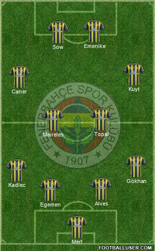 Fenerbahçe SK Formation 2013