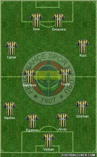 Fenerbahçe SK Formation 2013