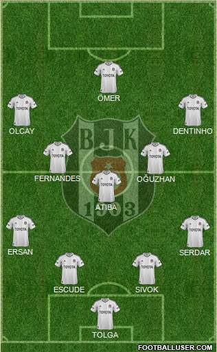 Besiktas JK Formation 2013