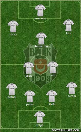 Besiktas JK Formation 2013
