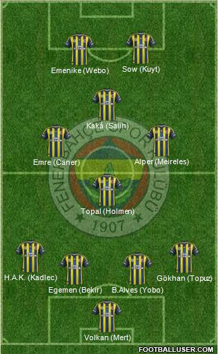 Fenerbahçe SK Formation 2013