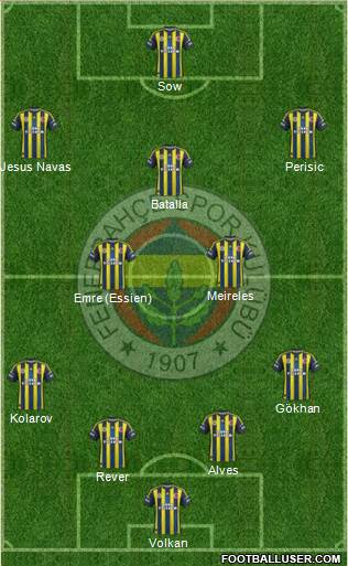 Fenerbahçe SK Formation 2013