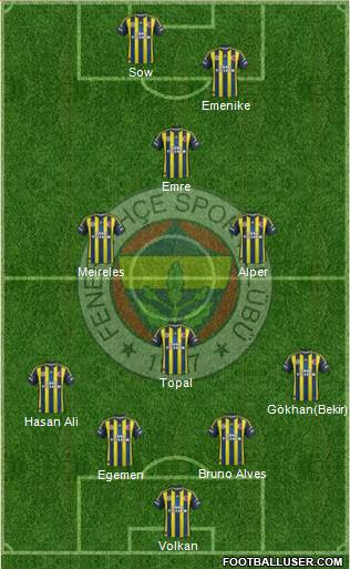 Fenerbahçe SK Formation 2013