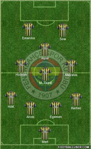 Fenerbahçe SK Formation 2013
