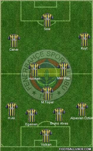 Fenerbahçe SK Formation 2013