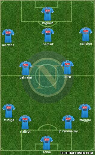 Napoli Formation 2013