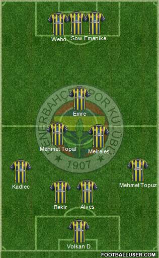 Fenerbahçe SK Formation 2013